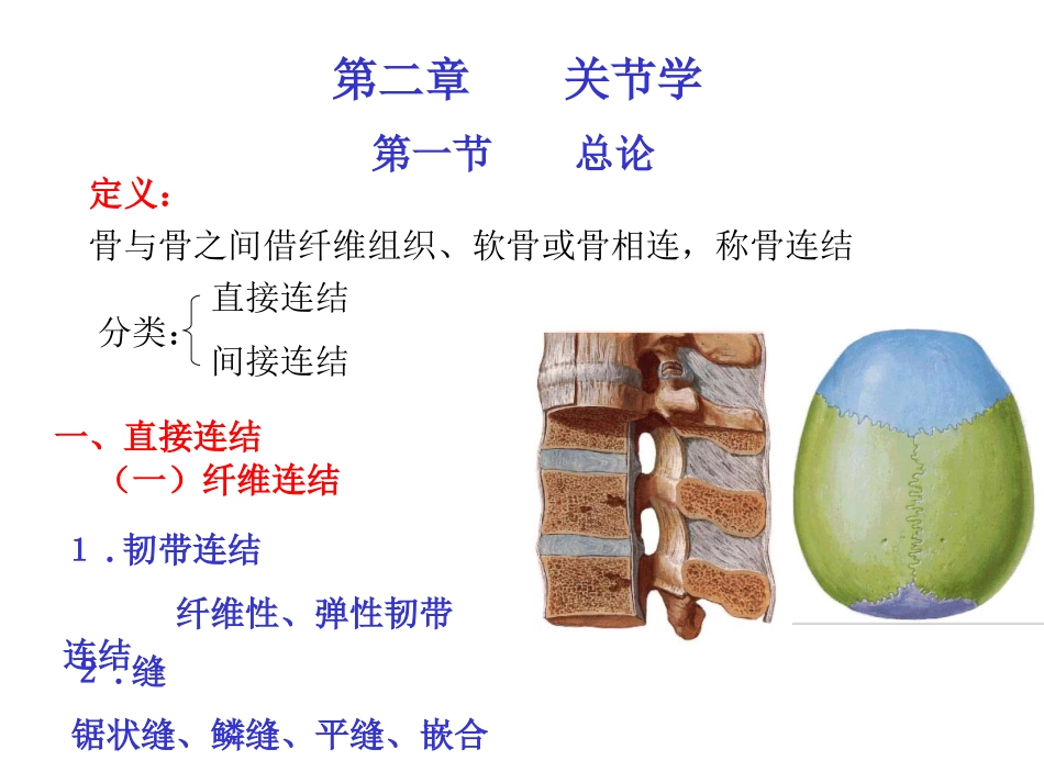 运动解剖学(关节)_第1页