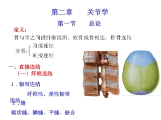 运动解剖学(关节)