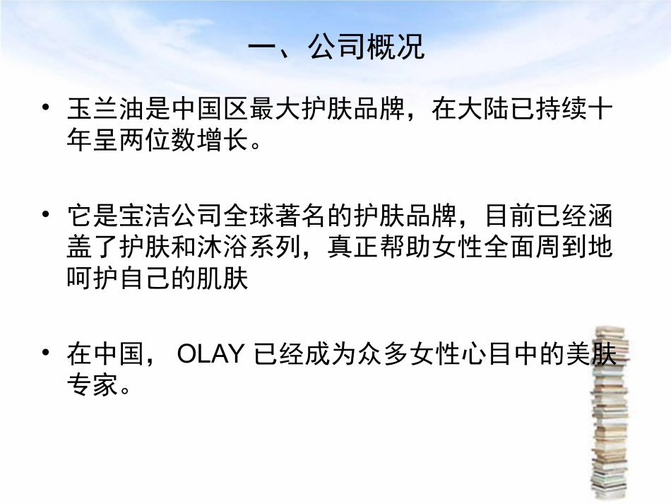 广告策划书ppt_第3页