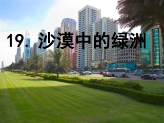 沙漠中的绿洲第二课时