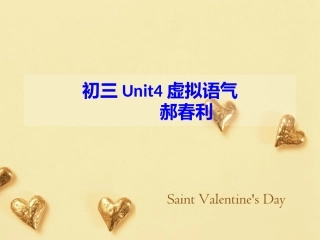 初三Unit4虚拟语气