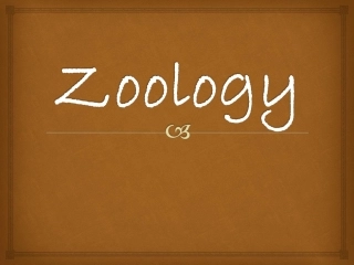 雅思听力——动物学场景