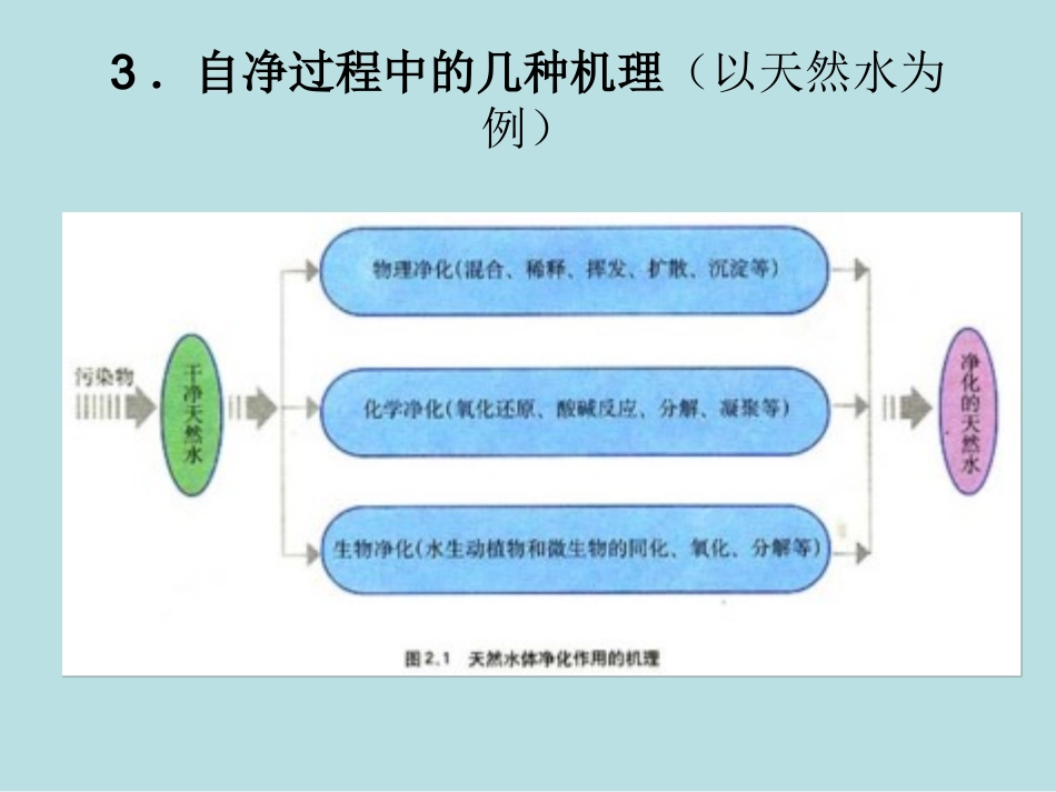 第一节-水污染及其成因_第3页