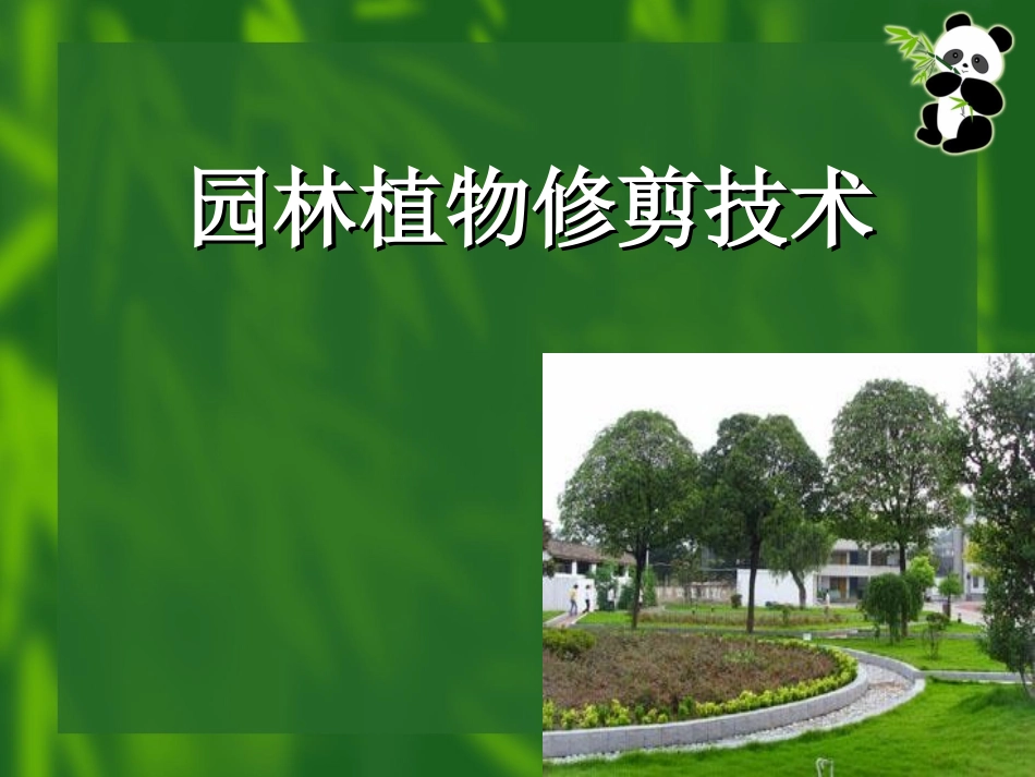 园林植物修剪技术_第1页