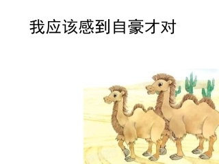 21我应该感到自豪才对