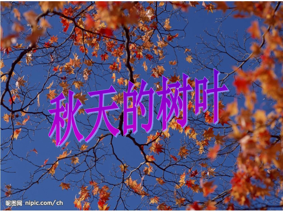 秋天的树叶 (2)_第1页