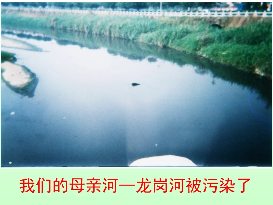 环保建议书最新_第3页