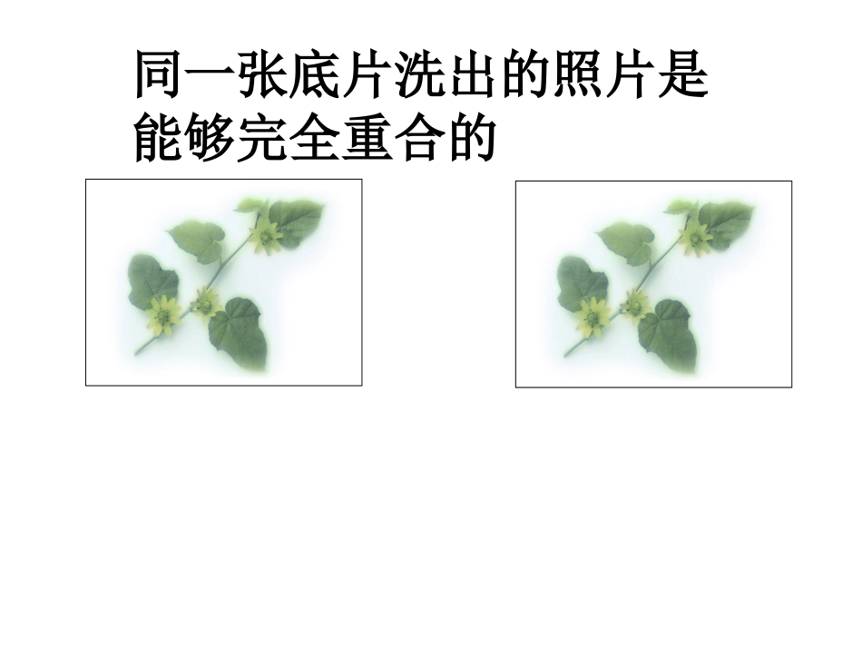 12.1全等三角形第一课时-(2)_第2页