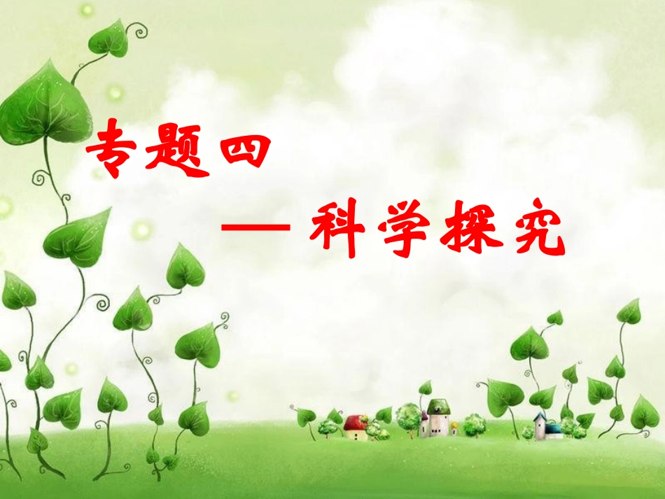 专题四——科学探究_第2页