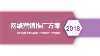 网络推广方案