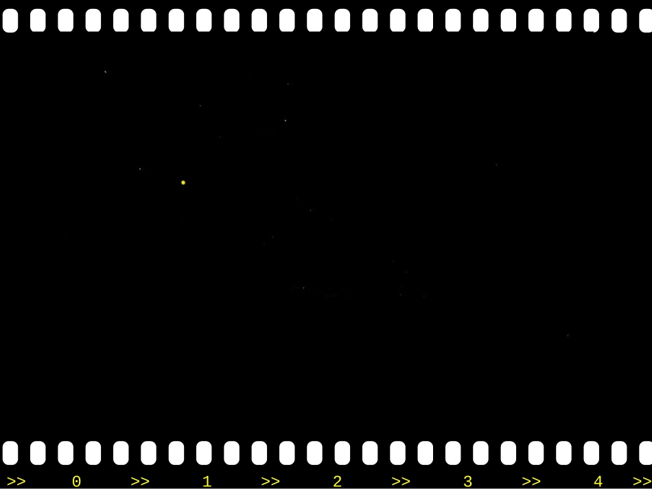 小学美术课件PPT画夜景_第2页