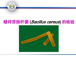 实验三、食品中蜡样芽孢杆菌的检验
