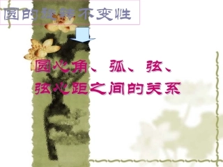 -圆的基本性质复习(3)