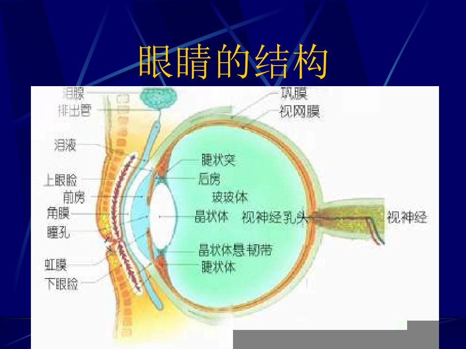 近视眼的预防PPT课件_第3页