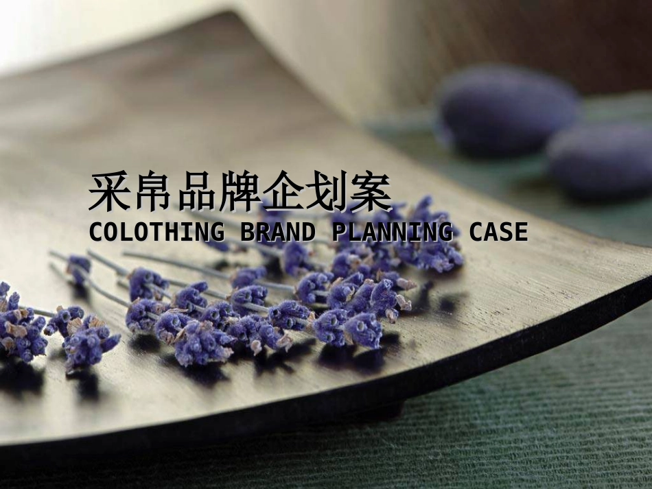 服装品牌策划PPT_第1页