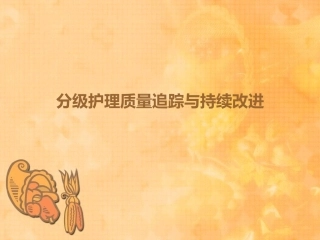分级护理质量追踪与持续改进
