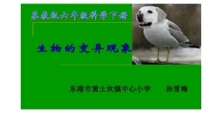 2生物的变异现象