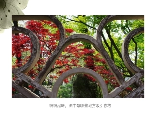 小学六年级美术《窗外的风景》课件