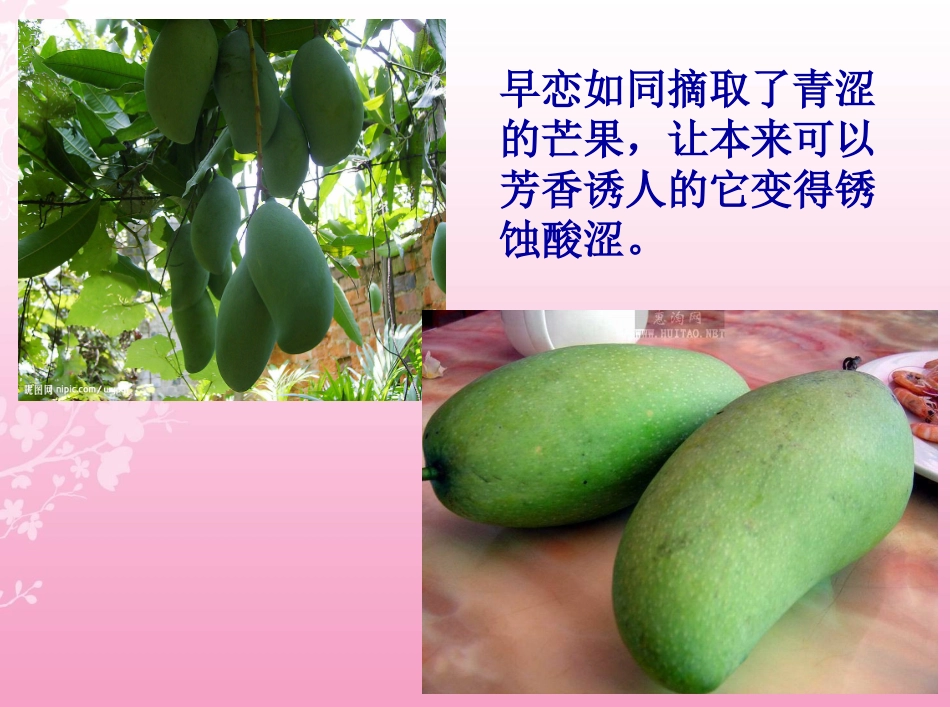 预防早恋主题班会_第2页