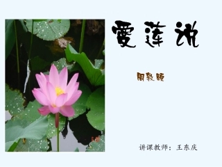 (部编)初中语文人教2011课标版七年级下册16-爱莲说-(2)