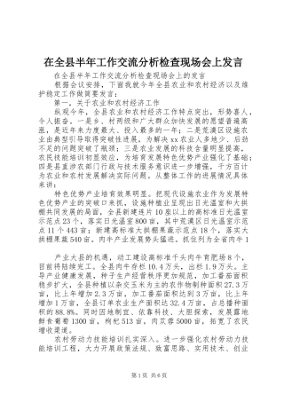在全县半年工作交流分析检查现场会上发言