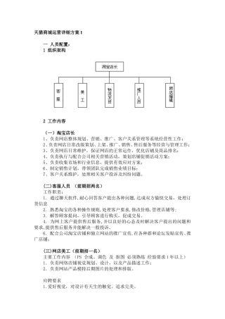 天猫商城运营详细方案