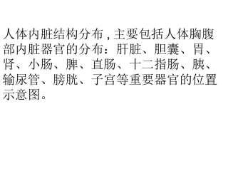 人体内脏结构图