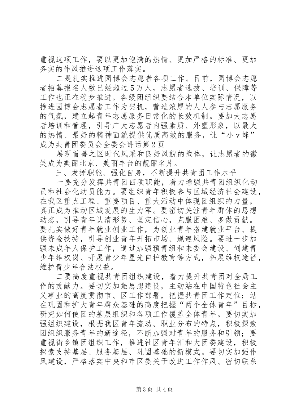 共青团委员会全委会讲话_第3页