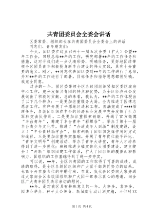 共青团委员会全委会讲话