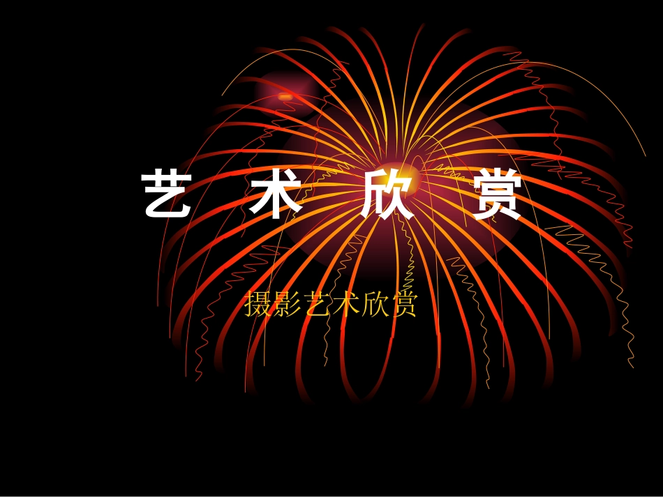 摄影艺术欣赏_第1页