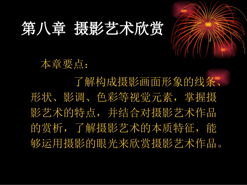 摄影艺术欣赏_第2页