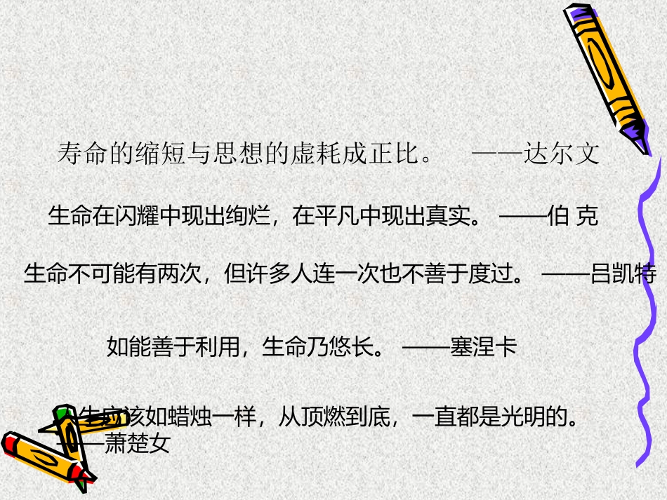 小学生交通安全ppt_第3页