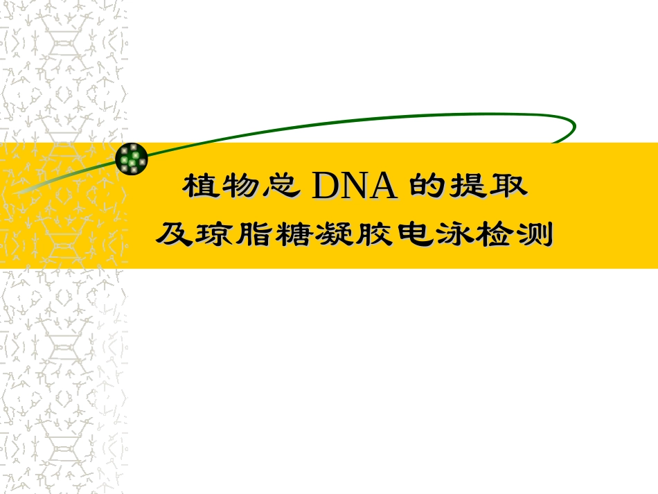 实验 植物DNA提取及检测_第1页