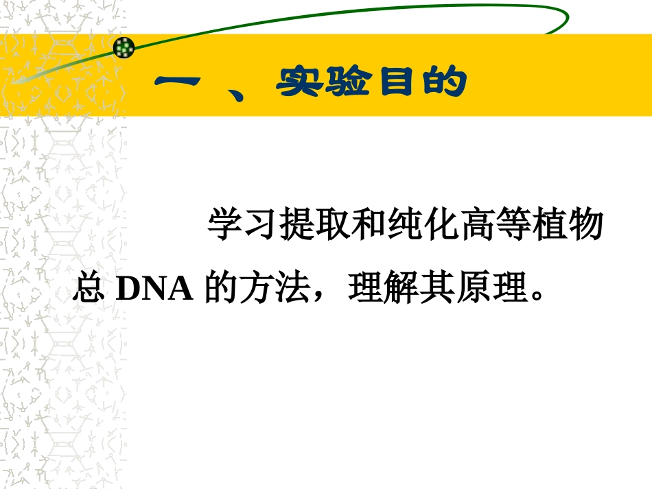实验 植物DNA提取及检测_第3页