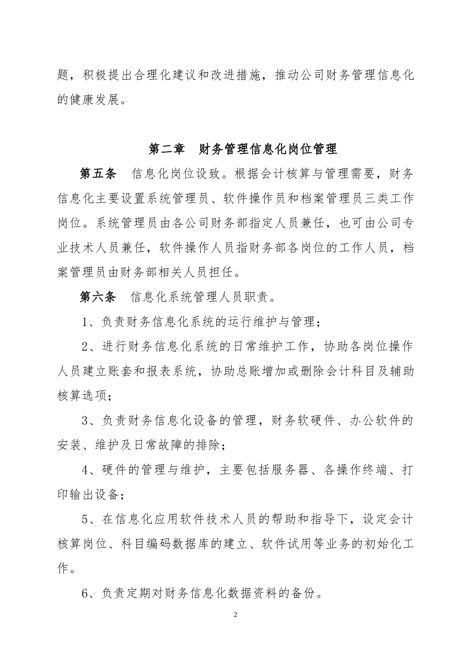 集团财务信息化管理制度_第2页