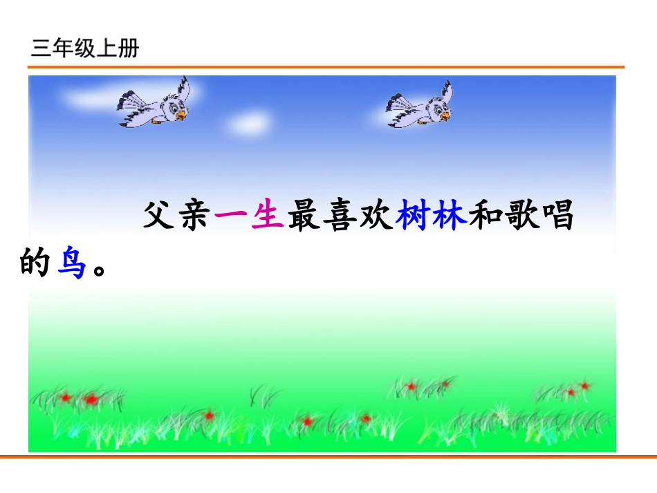 22父亲、树林和鸟_第3页