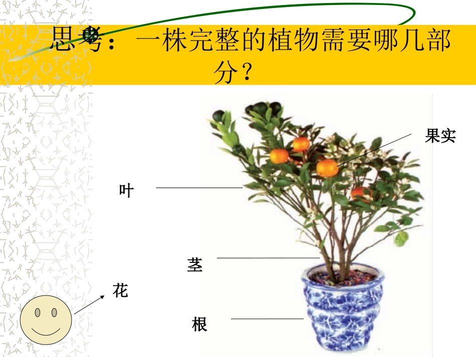 我们离不开植物_第2页