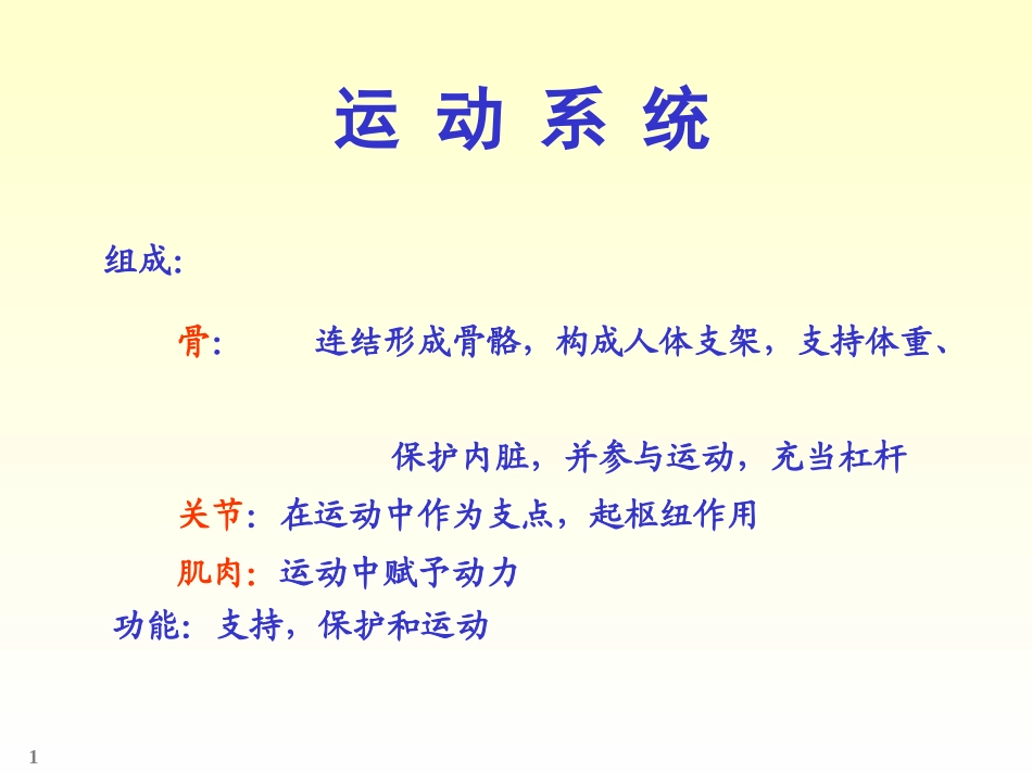 人体解剖学  ---骨学_第1页