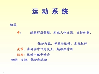 人体解剖学  ---骨学