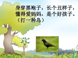 乌鸦喝水第一课时