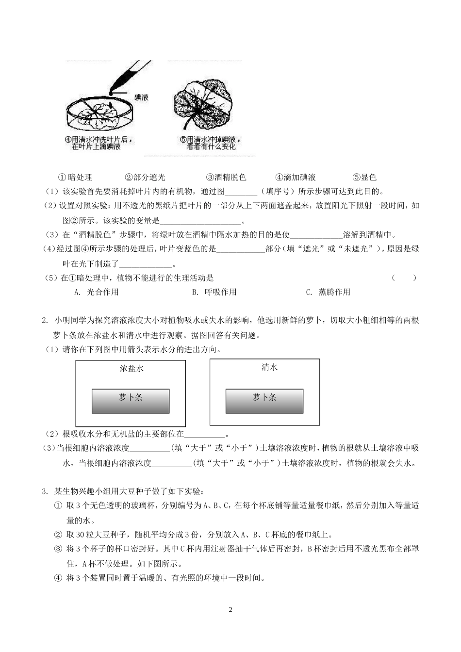 主题4生物圈中的绿色植物(2)_第2页