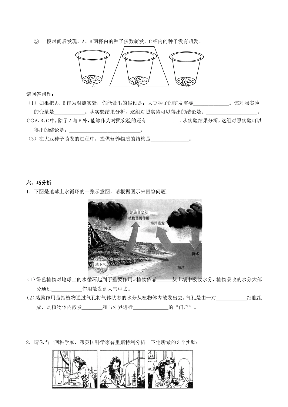 主题4生物圈中的绿色植物(2)_第3页