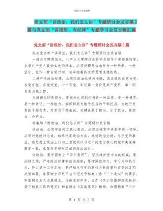 党支部“讲政治
