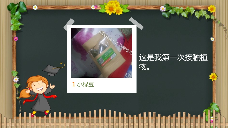 小学生绿豆种植观察记_第2页