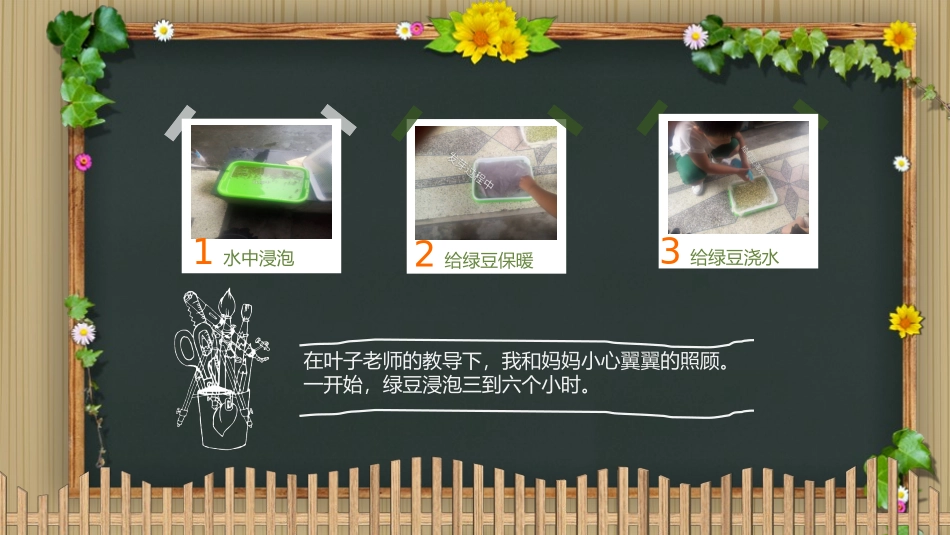 小学生绿豆种植观察记_第3页