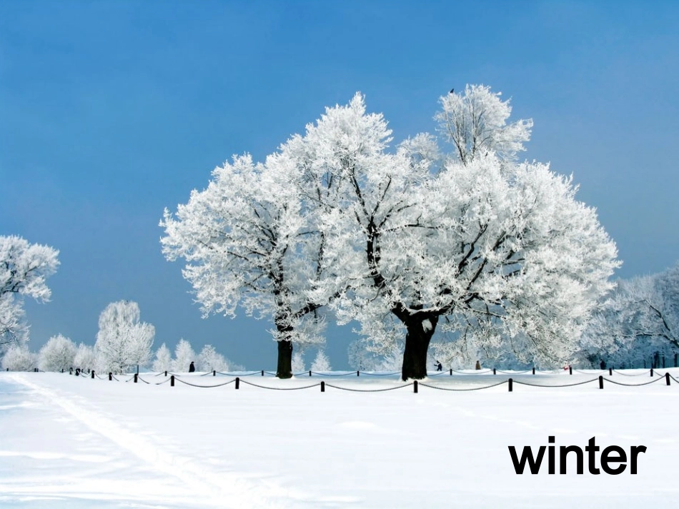 Lesson17ILikeAllSeasons!_第2页