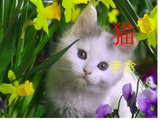 汇翠小学佘少芬