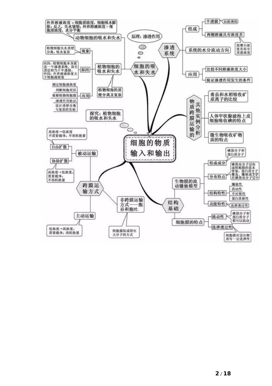 高中生物20张思维导图 (2)_第2页