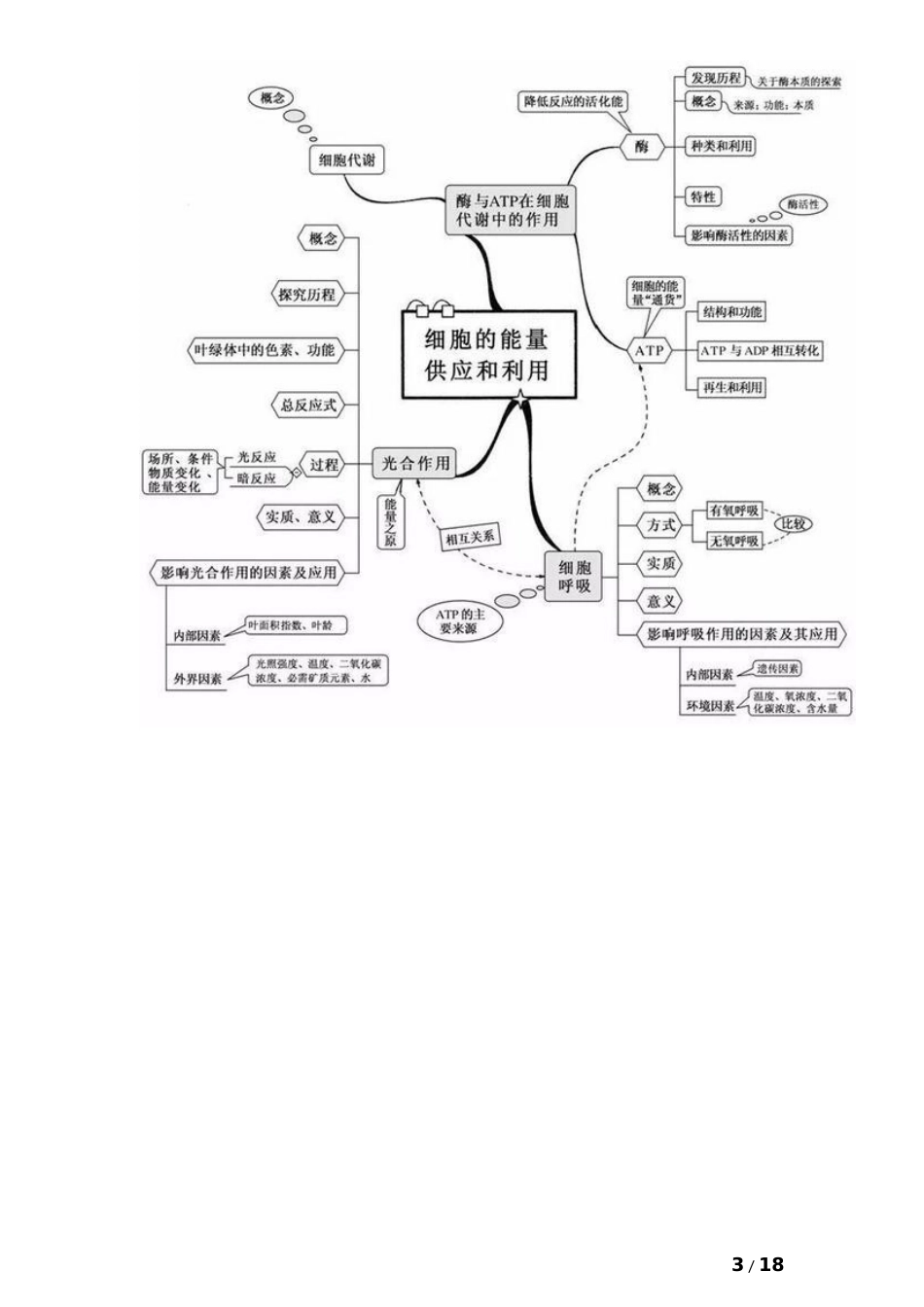 高中生物20张思维导图 (2)_第3页