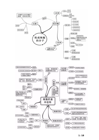 高中生物20张思维导图 (2)